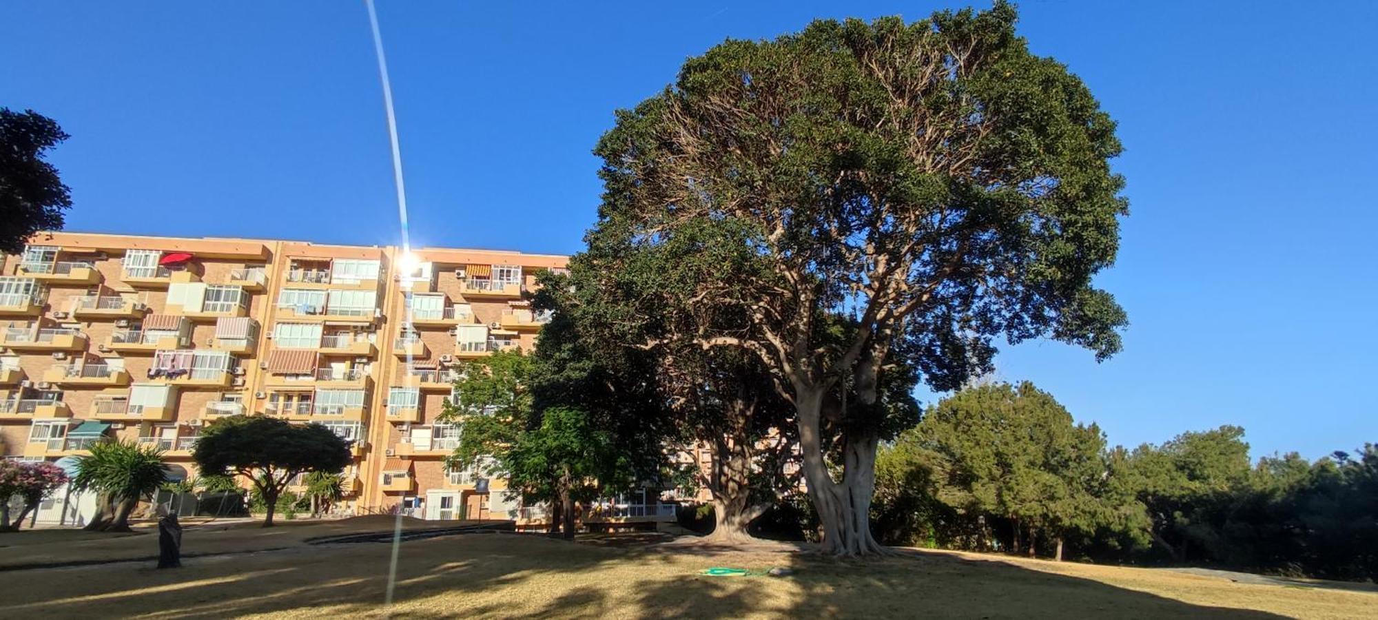 Apartamento Aguila, Arroyo De La Miel, Benalmádena Zewnętrze zdjęcie